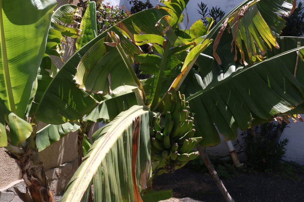 Willa 3C Fuerteventura Costa Calma Zewnętrze zdjęcie